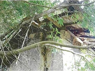 (値下げ) 島根県安来市 安来駅 戸建て 131万円の競売物件情報 #10