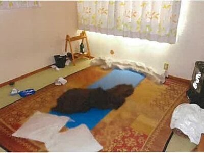 島根県大田市 静間駅27分 戸建て 147万円の競売物件情報 #11