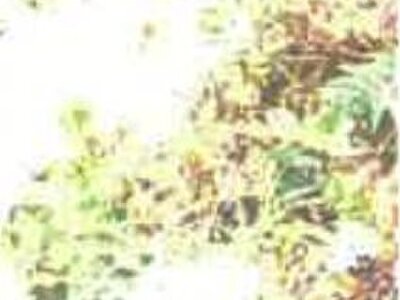 (値下げ) 島根県松江市 松江しんじ湖温泉駅20分 戸建て 183万円の競売物件情報 #12