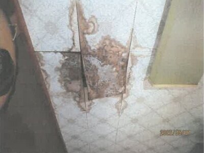 徳島県吉野川市 阿波山川駅5分 戸建て 109万円の競売物件情報 #29