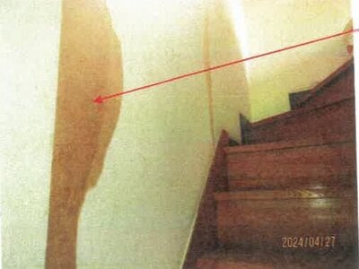 徳島県吉野川市 川田駅11分 戸建て 142万円の競売物件情報 #18