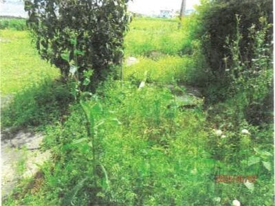 徳島県吉野川市 川田駅11分 戸建て 142万円の競売物件情報 #24