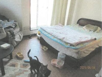 徳島県板野郡板野町 板野駅10分 戸建て 205万円の競売物件情報 #18