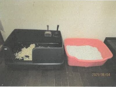 徳島県板野郡板野町 板野駅10分 戸建て 205万円の競売物件情報 #6