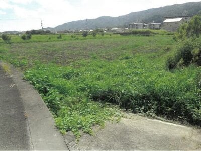 徳島県吉野川市 鴨島駅21分 農地 161万円の競売物件情報 #2