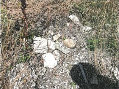 (値下げ) 香川県東かがわ市 讃岐白鳥駅15分 土地 53万円の競売物件情報 #5