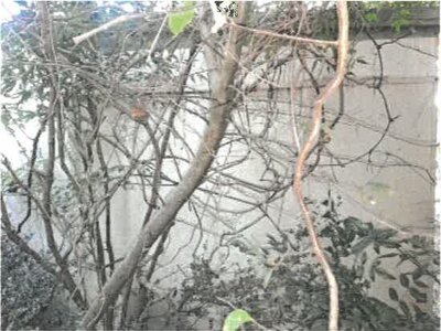 (値下げ) 香川県東かがわ市 讃岐白鳥駅3分 戸建て 189万円の競売物件情報 #49