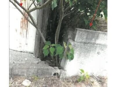 (値下げ) 香川県東かがわ市 讃岐白鳥駅14分 戸建て 144万円の競売物件情報 #5