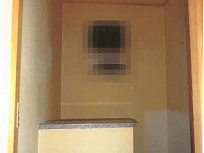 高知県長岡郡大豊町 大田口駅12分 戸建て 162万円の競売物件情報 #21