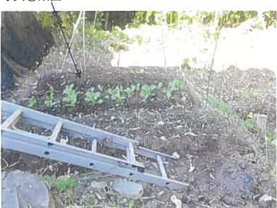 大分県大分市 高城駅13分 戸建て 891万円の競売物件情報 #11