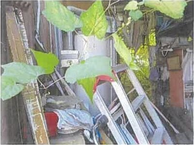 大分県大分市 高城駅13分 戸建て 891万円の競売物件情報 #4