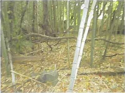 大分県大分市 高城駅13分 戸建て 891万円の競売物件情報 #8