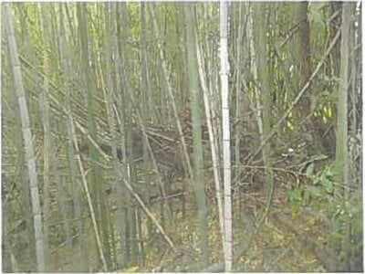 大分県大分市 高城駅13分 戸建て 891万円の競売物件情報 #9