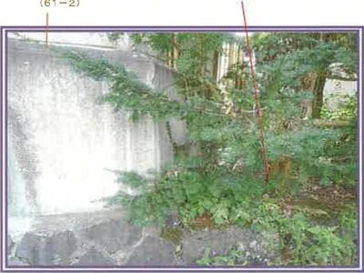 山梨県南都留郡富士河口湖町 河口湖駅 戸建て 576万円の競売物件情報 #26