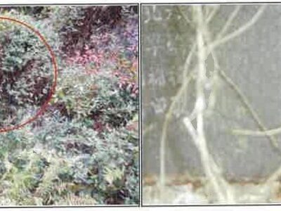 長野県大町市 信濃常盤駅10分 戸建て 971万円の競売物件情報 #21