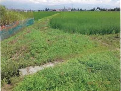 長野県安曇野市 一日市場駅25分 農地 140万円の競売物件情報 #10