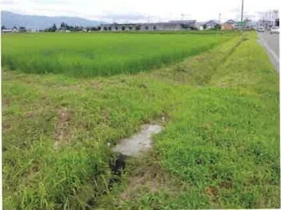長野県安曇野市 一日市場駅25分 農地 140万円の競売物件情報 #11