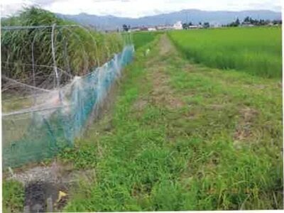 長野県安曇野市 一日市場駅25分 農地 140万円の競売物件情報 #9