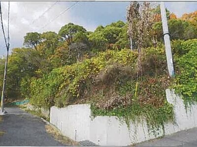 兵庫県神戸市長田区 鵯越駅6分 土地 415万円の競売物件情報 #2