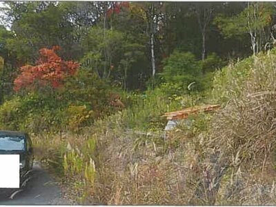 兵庫県神戸市長田区 鵯越駅6分 土地 415万円の競売物件情報 #9