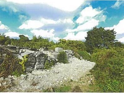 兵庫県三木市 栄駅 土地 1,113万円の競売物件情報 #9