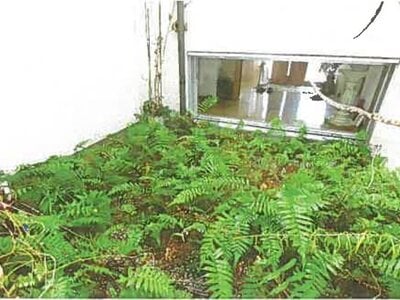 兵庫県神戸市北区 北鈴蘭台駅7分 戸建て 1,803万円の競売物件情報 #16