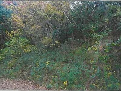 兵庫県神戸市須磨区 丸山駅17分 戸建て 1億3,005万円の競売物件情報 #3