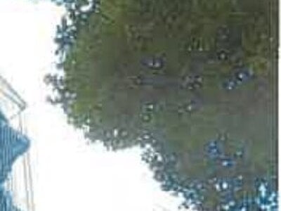 兵庫県神戸市東灘区 深江駅6分 戸建て 1,853万円の競売物件情報 #48