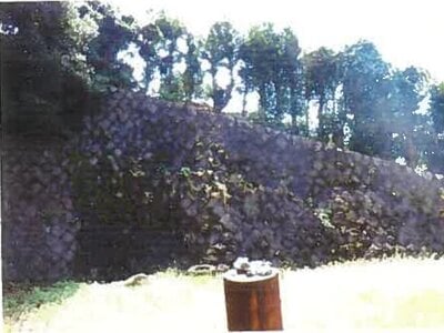 和歌山県海南市 下津駅28分 土地 159万円の競売物件情報 #9