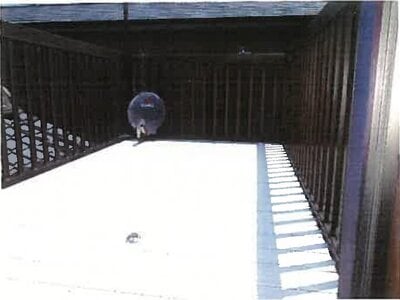 和歌山県海南市 加茂郷駅2分 戸建て 106万円の競売物件情報 #10