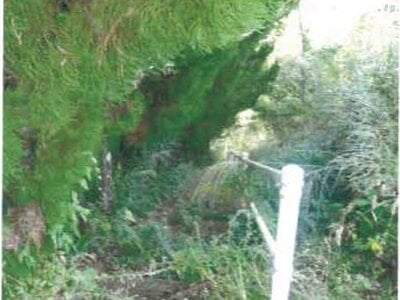 和歌山県西牟婁郡上富田町 朝来駅13分 戸建て 601万円の競売物件情報 #3