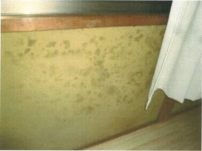 (値下げ) 和歌山県西牟婁郡白浜町 紀伊富田駅29分 戸建て 88万円の競売物件情報 #14