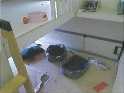 広島県廿日市市 前空駅 戸建て 560万円の競売物件情報 #10