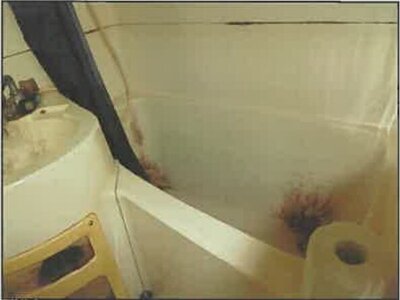 広島県広島市中区 舟入本町駅2分 戸建て 3,433万円の競売物件情報 #36