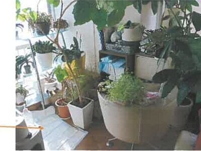 広島県広島市中区 比治山下駅6分 マンション「ブルーシャトー」438万円の競売物件情報 #11