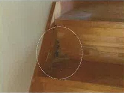 (値下げ) 長崎県佐世保市 山の田駅10分 戸建て 192万円の競売物件情報 #20