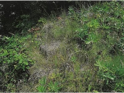 (値下げ) 北海道北見市 西北見駅 戸建て 169万円の競売物件情報 #13