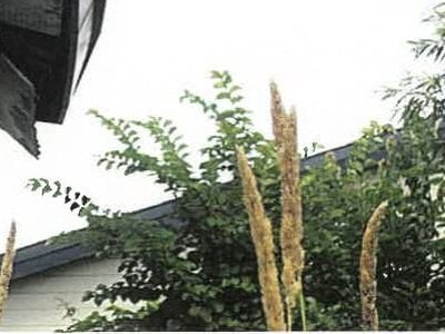 (値下げ) 北海道北見市 西北見駅 戸建て 169万円の競売物件情報 #15