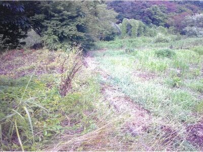 山形県東根市 神町駅 戸建て 196万円の競売物件情報 #3