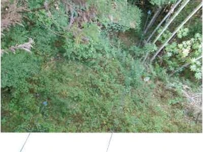 福島県いわき市 湯本駅27分 戸建て 3,942万円の競売物件情報 #13