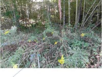 福島県いわき市 湯本駅27分 戸建て 3,942万円の競売物件情報 #21