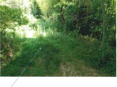 福島県いわき市 湯本駅27分 戸建て 3,942万円の競売物件情報 #22