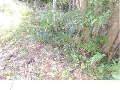 福島県いわき市 湯本駅27分 戸建て 3,942万円の競売物件情報 #28