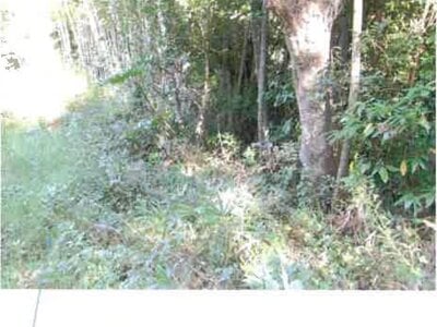 福島県いわき市 湯本駅27分 戸建て 3,942万円の競売物件情報 #29