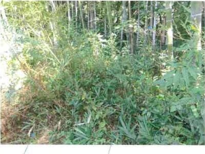 福島県いわき市 湯本駅27分 戸建て 3,942万円の競売物件情報 #30