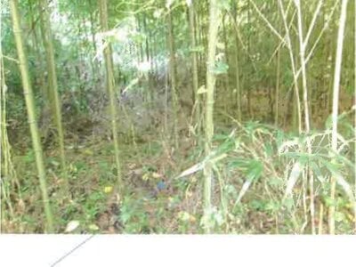 福島県いわき市 湯本駅27分 戸建て 3,942万円の競売物件情報 #35