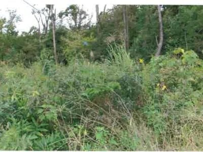 福島県いわき市 湯本駅27分 戸建て 3,942万円の競売物件情報 #38