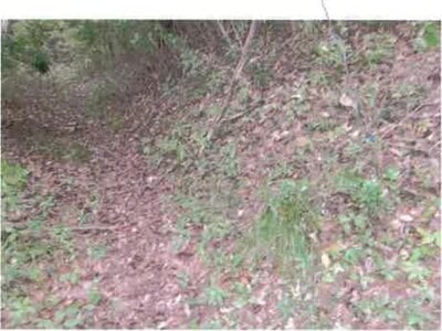 福島県いわき市 湯本駅27分 戸建て 3,942万円の競売物件情報 #39