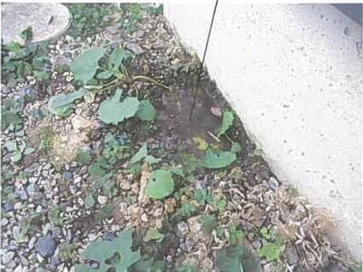 埼玉県北葛飾郡杉戸町 東武動物公園駅22分 戸建て 583万円の競売物件情報 #2