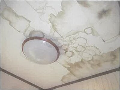 埼玉県北葛飾郡杉戸町 東武動物公園駅22分 戸建て 583万円の競売物件情報 #5